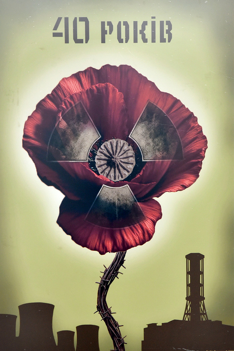 Робота, представлена на виставці 